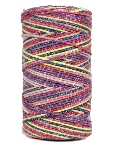 Coton recyclé Eco Vita 4 Multicolor DMC