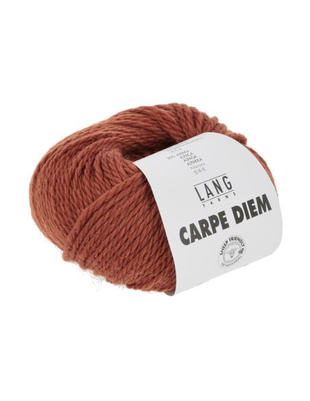 Laine Carpe Diem Lang Yarns