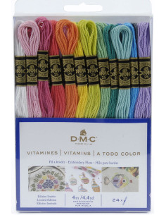 Pack mit 24 Stickgarn-Strängen mouliné DMC - Die Vitamine
