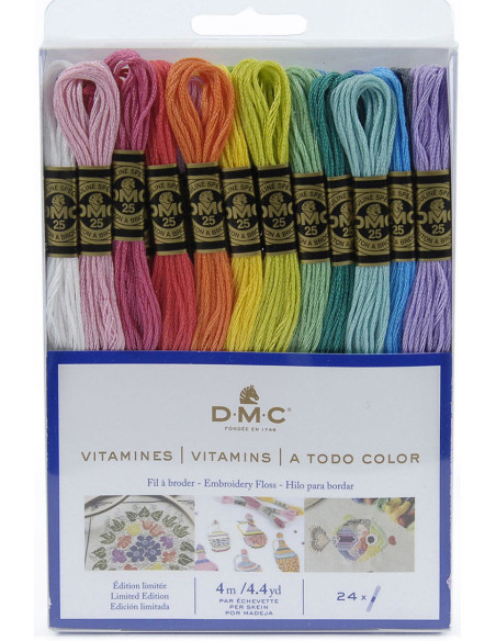 Pack mit 24 Stickgarn-Strängen mouliné DMC - Die Vitamine