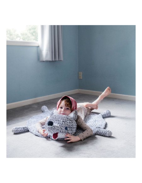 Buch 22 Amigurumi aus Chenillegarn