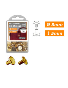 25 Sätze Chicago-Schrauben 8 mm x 5 mm - Gold 2