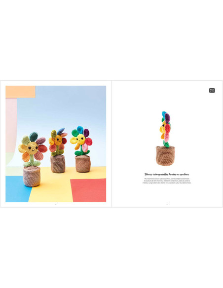 Ricorumi Rainbow Heft