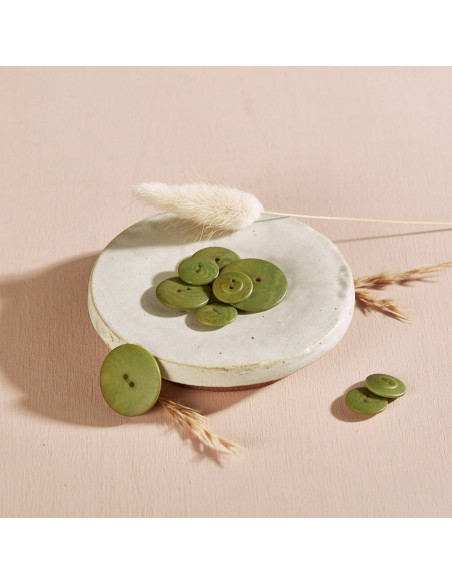 Palmknopf - Matcha-Blatt
