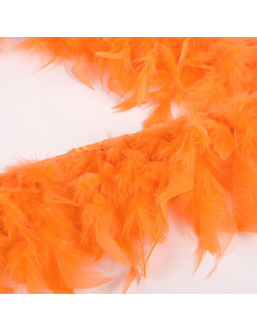 Fransenfedern - Orange