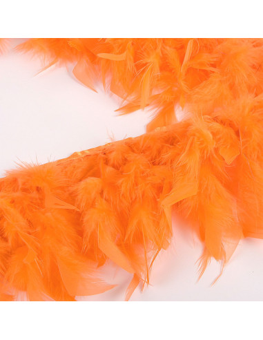 Fransenfedern - Orange