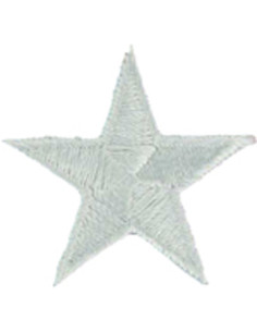 Graues Bügelabzeichen Stern