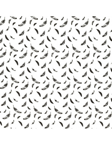 Fantasie-Baumwollpopeline-Stoff - Schwarze Feder