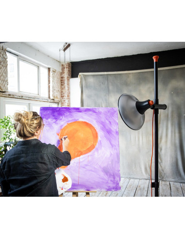 Tageslicht-Künstler-Studiolampe 2