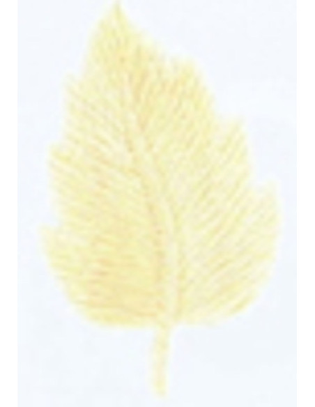 Bügelbild cremefarbenes Blatt