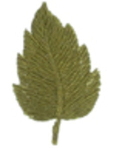 Bügelaufnäher Blatt Khaki