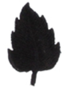 Schwarzer Blatt-Bügelaufnäher