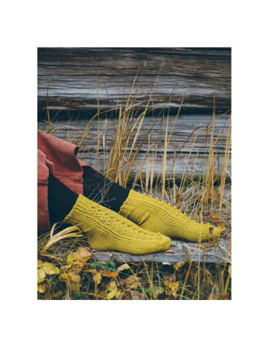 Buch 52 Socken zum Stricken das ganze Jahr über