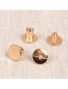 8 Sätze Chicago-Schrauben 10 mm x 6 mm - Gold