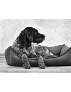 Wasserdichter und ultra-robuster Leinwandstoff - Bordeaux 2