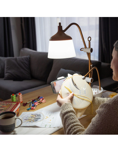 Lampe auf Tisch mit Lupe, Tablett und Telefonhalter Daylight Anita