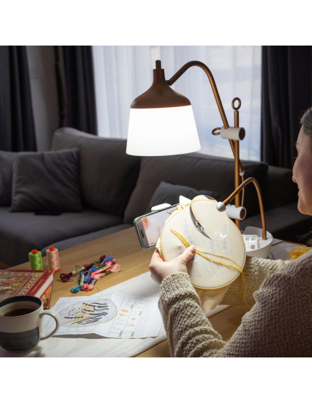 Lampe auf Tisch mit Lupe, Tablett und Telefonhalter Daylight Anita