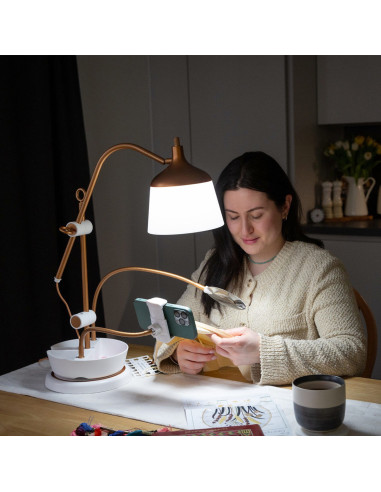 Lampe auf Tisch mit Lupe, Tablett und Telefonhalter Daylight Anita