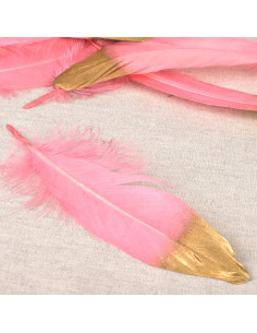 Set mit 10 Federn in Goldoptik - Rosa
