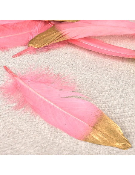 Set mit 10 Federn in Goldoptik - Rosa