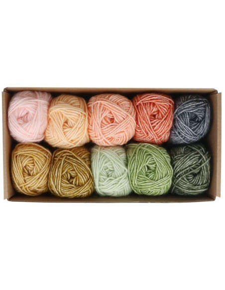 Set mit 10 Knäueln Scheepjes Stone Washed Colour Pack - Absichten