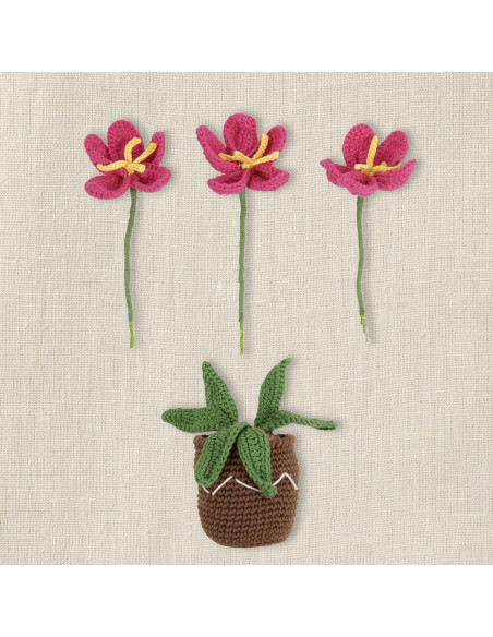 Amigurumi-Set - Blumentopf