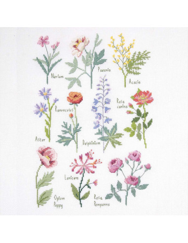 Kreuzstich-Stickset - Botanische Tafel