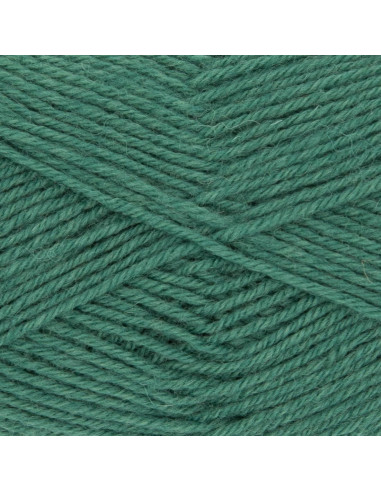 Hot Socks einfarbige Sockenwolle 50 Gründl