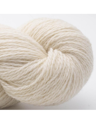 Bio Shetland Wolle BC Garn