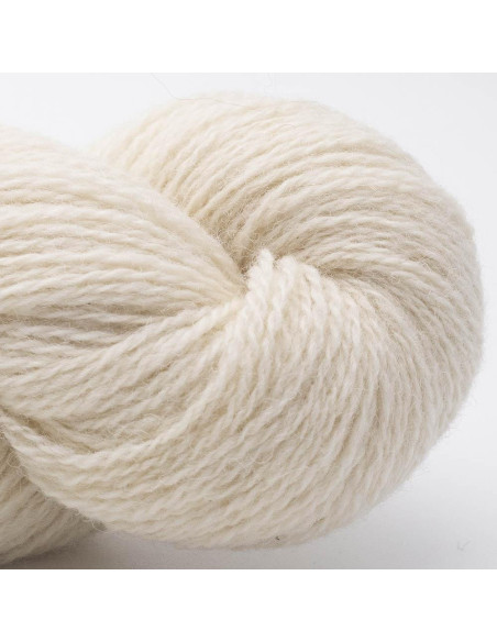 Bio Shetland Wolle BC Garn
