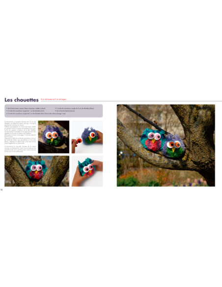 Buch Pompons in der Familie