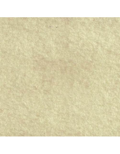Coupon de feutrine Cinnamon Patch 30 x 45 cm