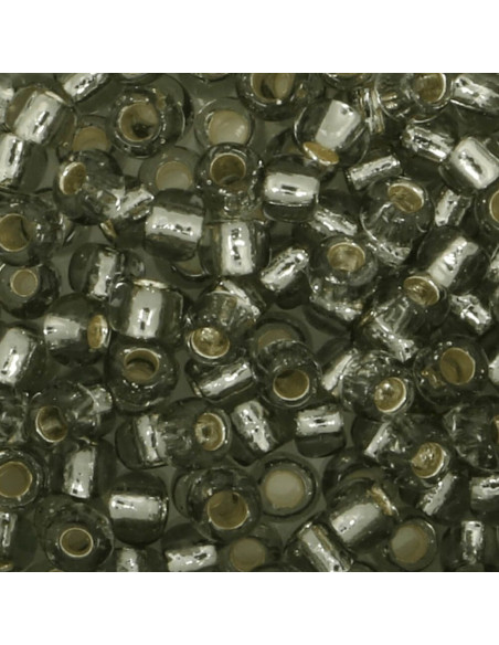Perles en verre 8/0 Toho