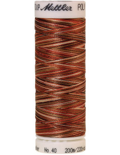 Mettler Polysheen Stickgarn Multicolor 2