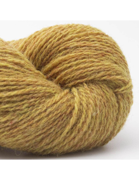 Bio Shetland Wolle BC Garn