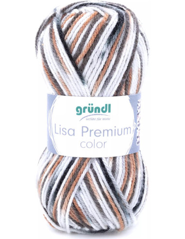 Fil à tricoter Lisa Premium color Gründl