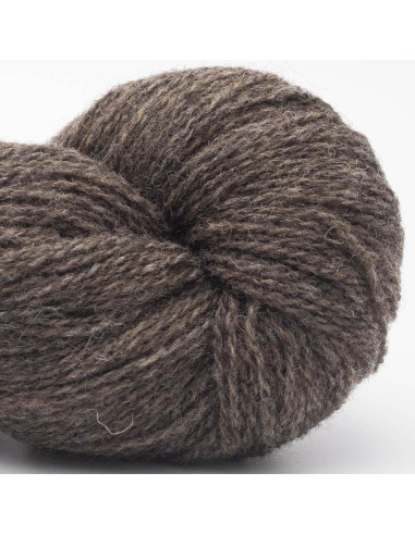 Bio Shetland Wolle BC Garn
