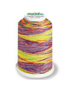 Madeira Aeroflock Multicolor Schaumgarnkegel 1000 m 2