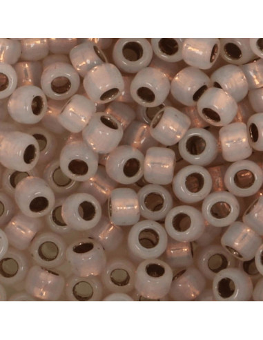 Perles en verre 8/0 Toho