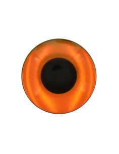 Augen für Plüschtiere - Fauve