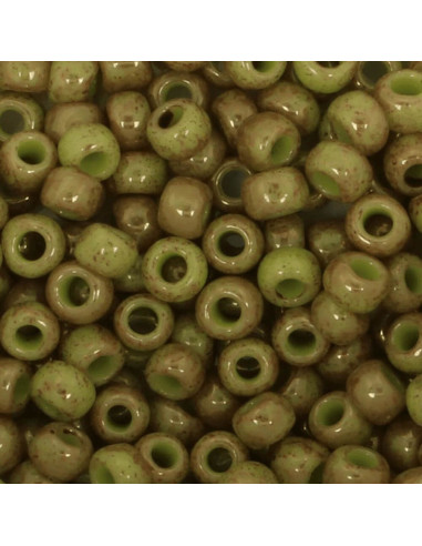 Perles en verre 8/0 Toho