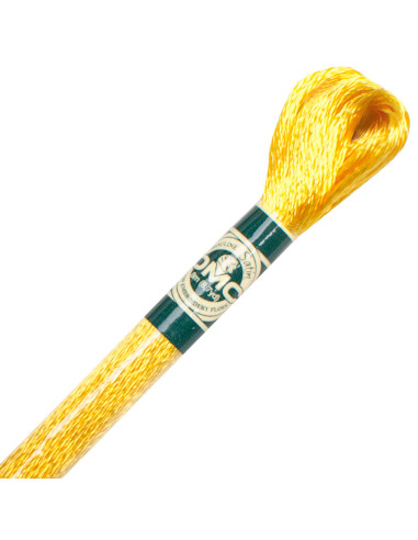 DMC Satin-Stickgarn Mouliné