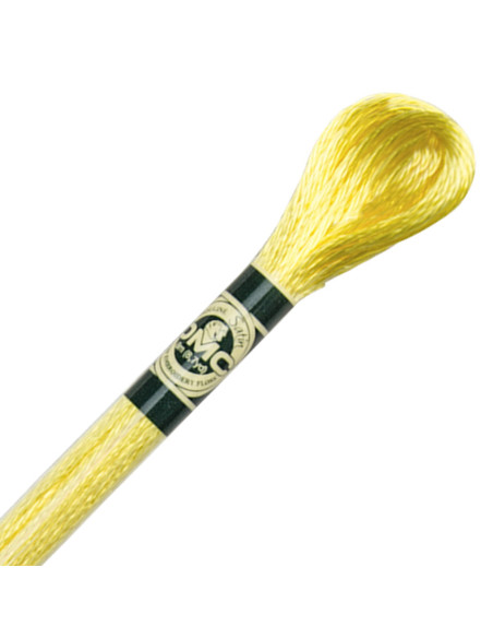 DMC Satin-Stickgarn Mouliné