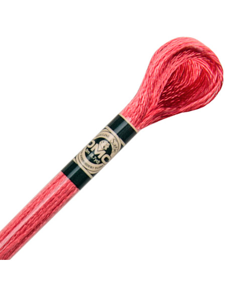 DMC Satin-Stickgarn Mouliné