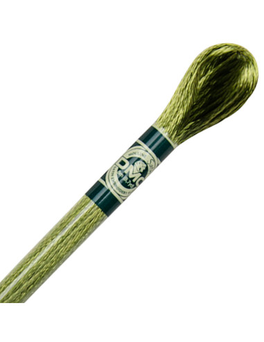 DMC Satin-Stickgarn Mouliné