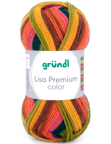 Fil à tricoter Lisa Premium color Gründl
