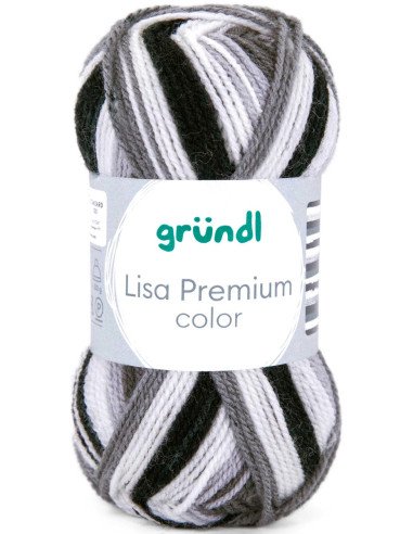 Fil à tricoter Lisa Premium color Gründl