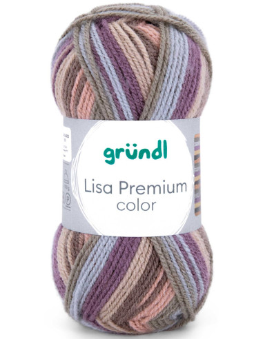 Fil à tricoter Lisa Premium color Gründl