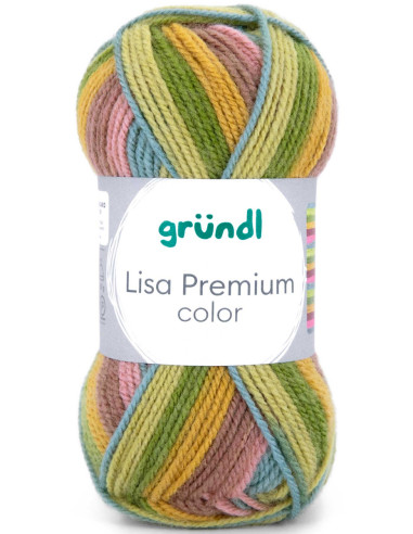 Fil à tricoter Lisa Premium color Gründl