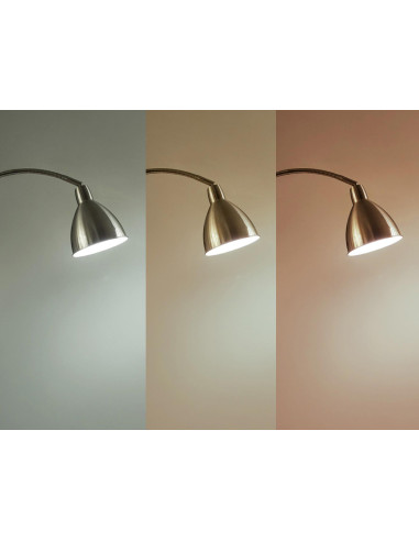 Lampe sur pied Daylight Flexivision 2
